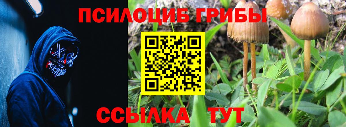 Галлюциногенные грибы Cubensis  Галлюциногенные грибы мицелий  Вход с VPN  Волгодонск 